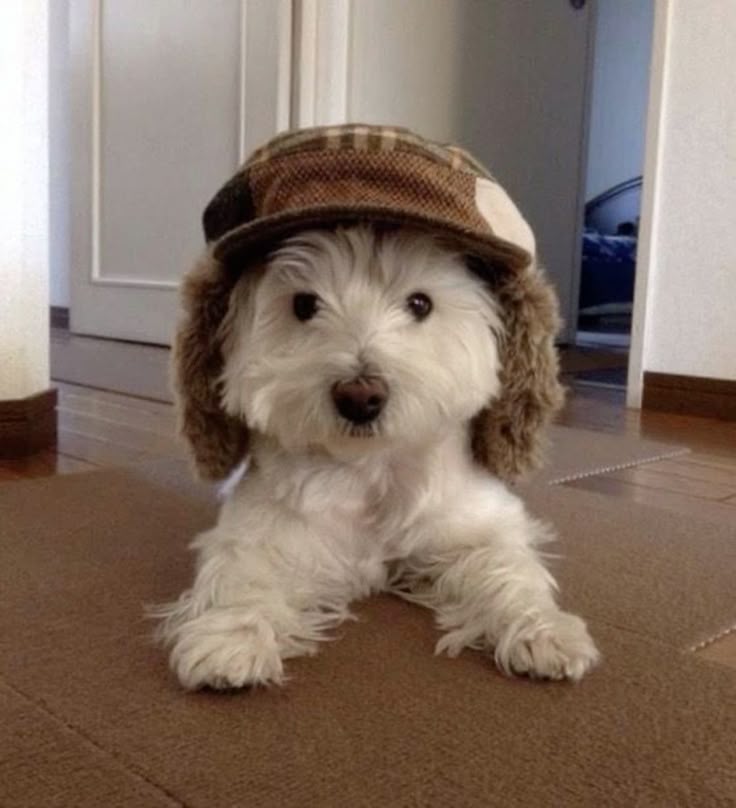 test token image